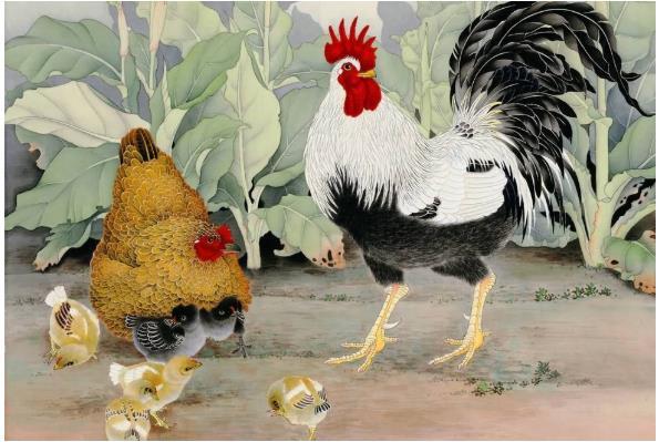 福祸相依1981年生肖鸡一步一难一定要好好看看怎么回事