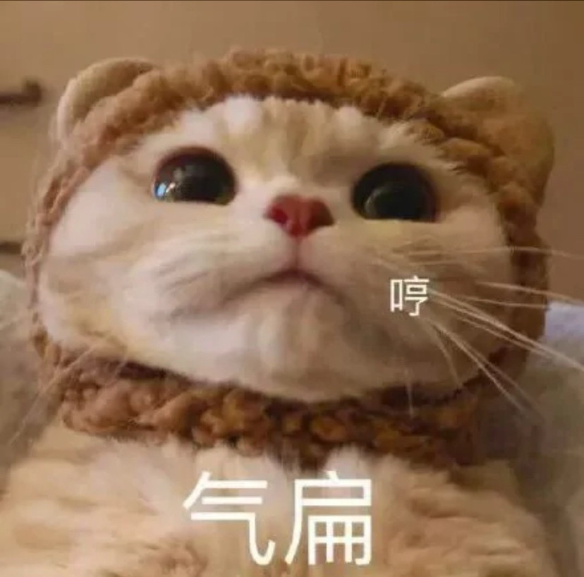 男朋友看了少女心泛滥的小猫咪表情包