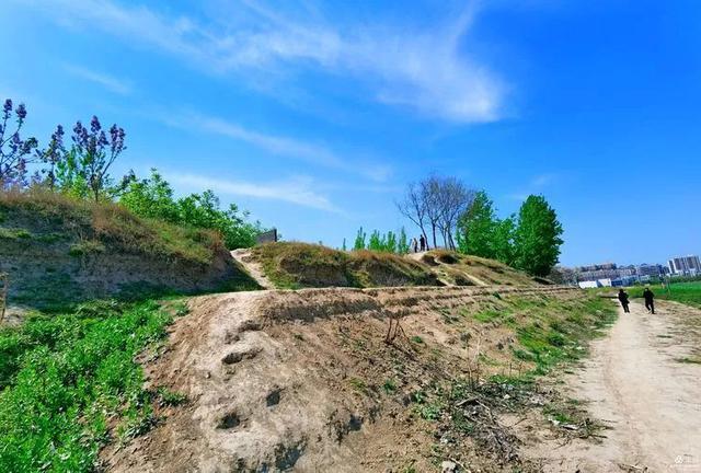 新石器到明代的历史信息,见证着柘城从远古"株野""秋地",到秦置"柘县"