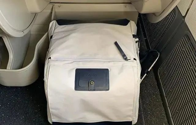 橘猫太胖上不了飞机,成功减肥后如愿以偿,终于和铲屎官一起坐飞机