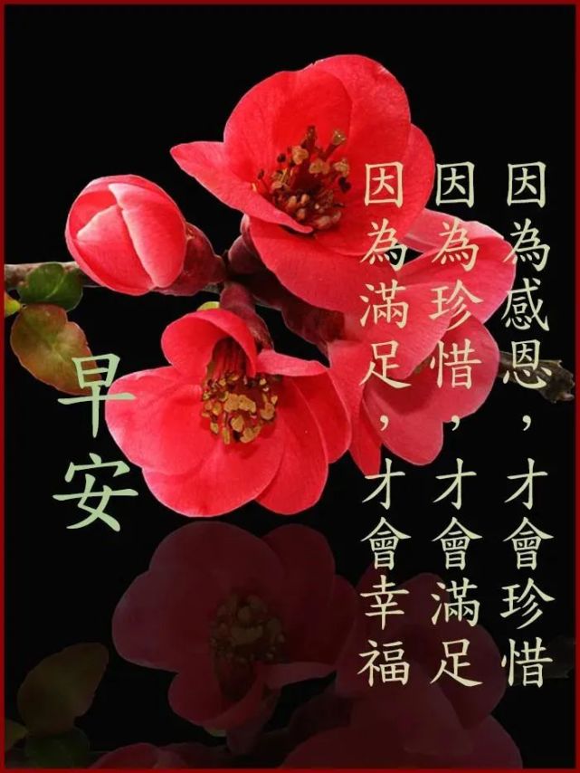 3月22日最新早上好动态表情图片大全集,祝大家早晨好健康快乐表情图片