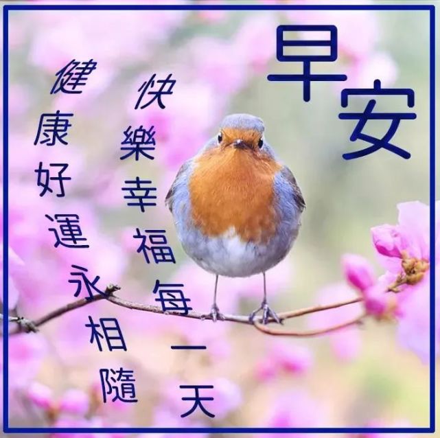 创意好看的早上好图片带字带祝福语,美好的早安问候经典语录说说文案