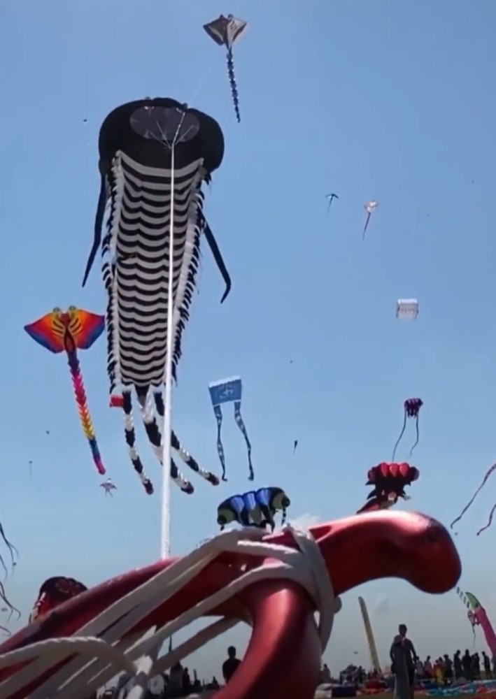 这项活动吨位不够都不敢上场潍坊国际风筝会万物皆可上天