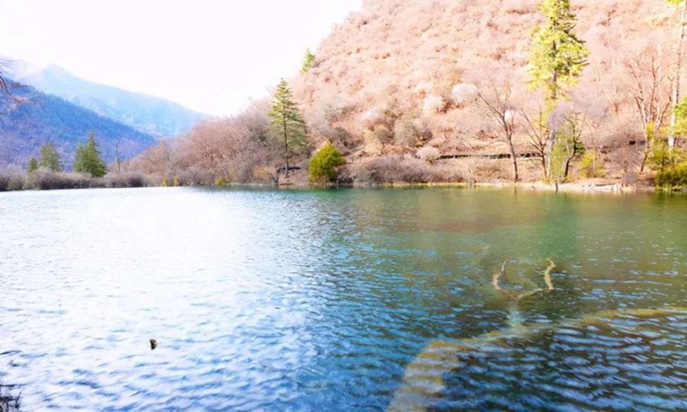 嫩恩桑措 神仙池 九寨沟又一宝藏风景 腾讯新闻