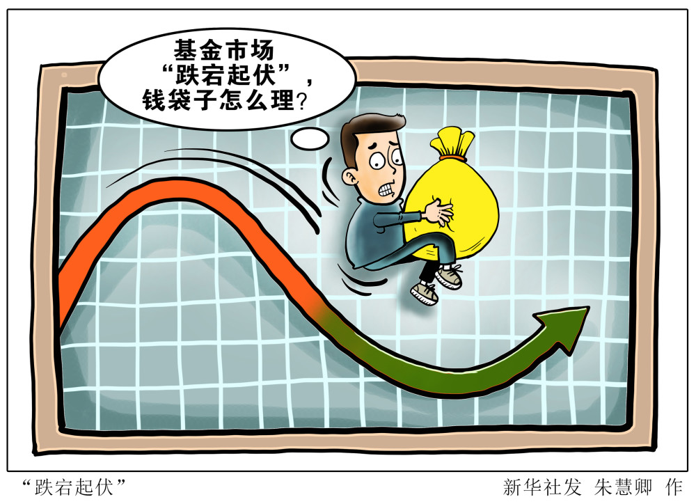 (图表·漫画)【财经聚焦】跌宕起伏(2)