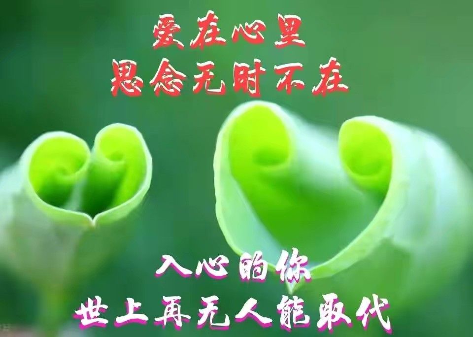 遇见你乱了分寸迷迷糊糊地就被你收了心想你我爱你你随意