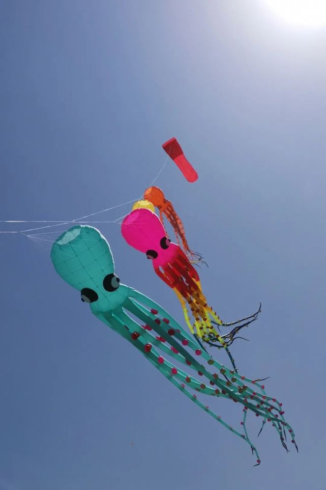 【多彩潍坊国际风筝会】鸢飞漫天花满城,放飞梦想在潍坊!