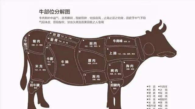 牛肉哪个部位最好吃又嫩选对了不懂烹饪糟蹋了好牛肉教你几招