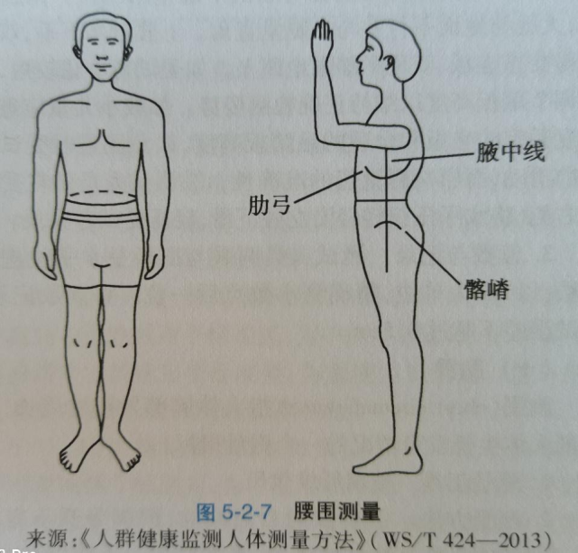 比非腹型肥胖具有更高的心腦血管疾病的發生風險,腹部脂肪分佈對血壓