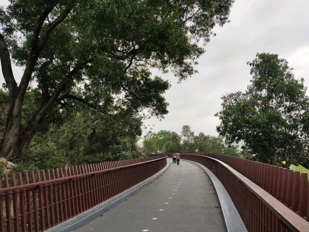 西丽生态公园梯田风光 花开半夏!