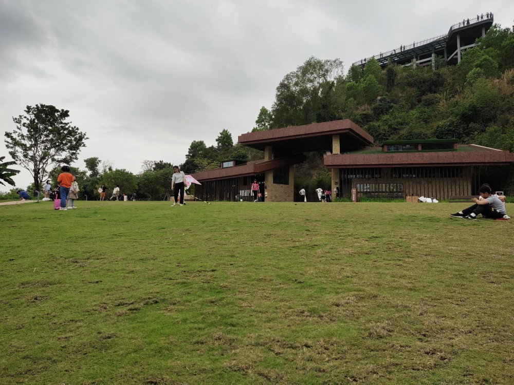 西麗生態公園梯田風光 花開半夏!