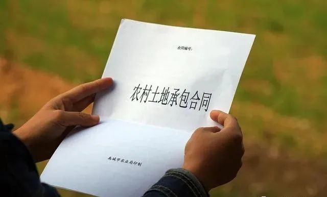 荒地出租20元一亩锦州租地1到了亩多少钱(荒地出租20元一亩锦州租地1到了亩多少钱啊)