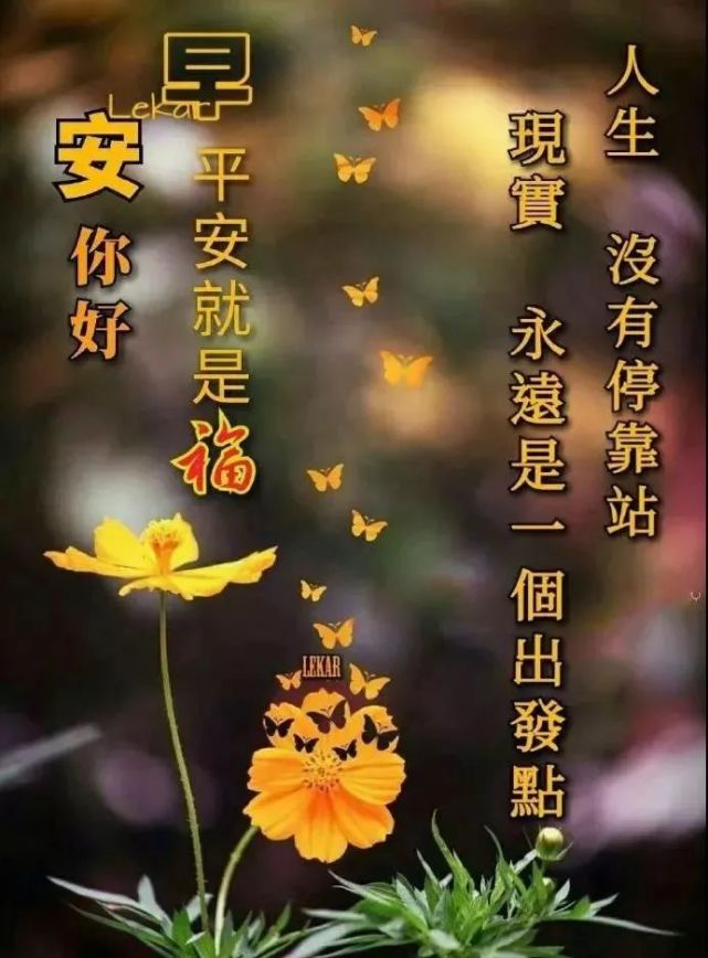 早安,祝你今天好心情,工作順利,生活甜美!