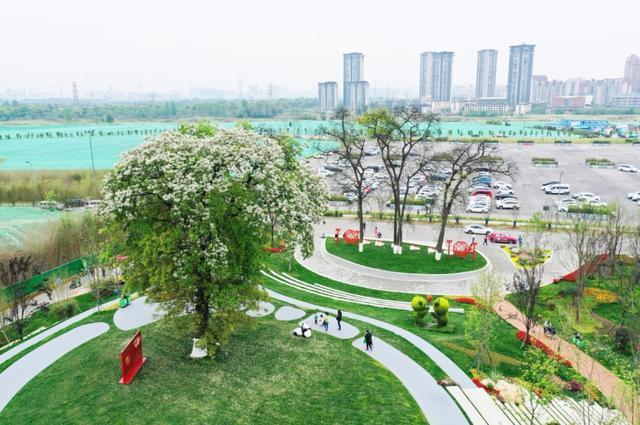 "熊猫小镇红豆古树公园",是成都市依托"川西林盘保护修复项目"打造的