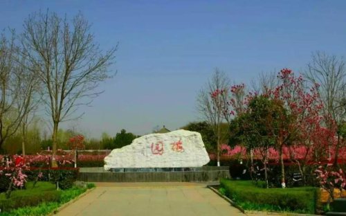 富平梅园满园梅花如约开放,让人感受到春的气息