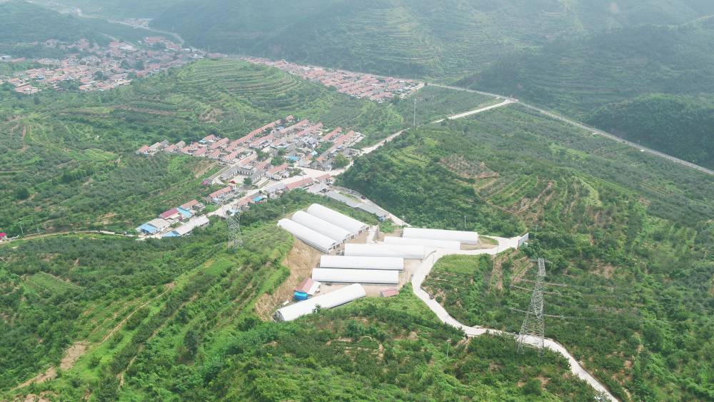 新时代的愚公记栖霞市亭口镇衣家村党支部书记衣元良