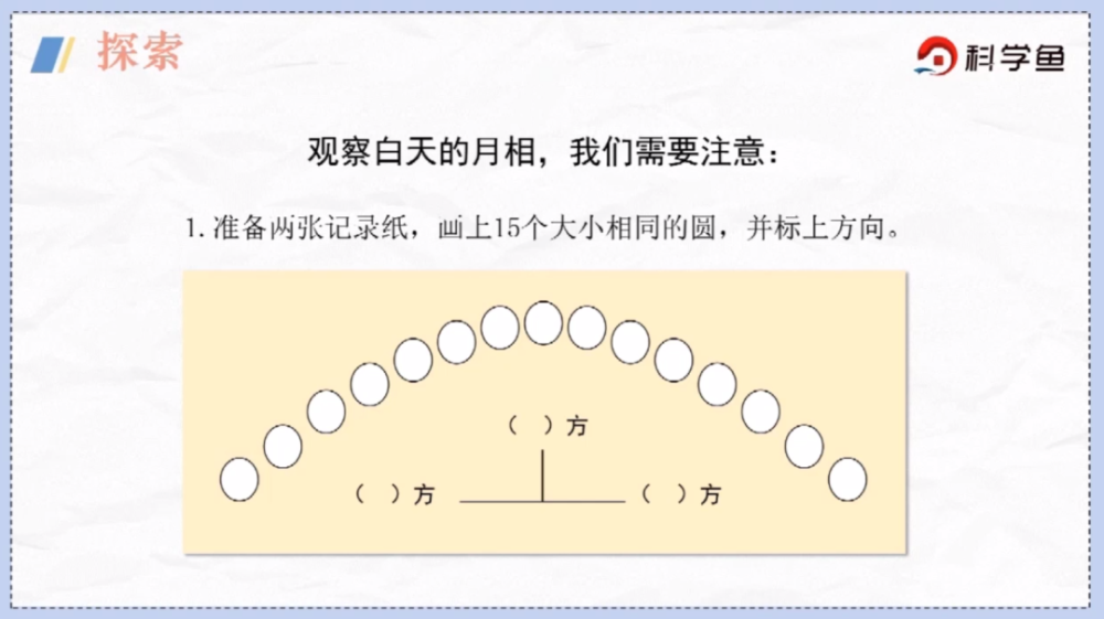 科學魚網課六年級下月相變化