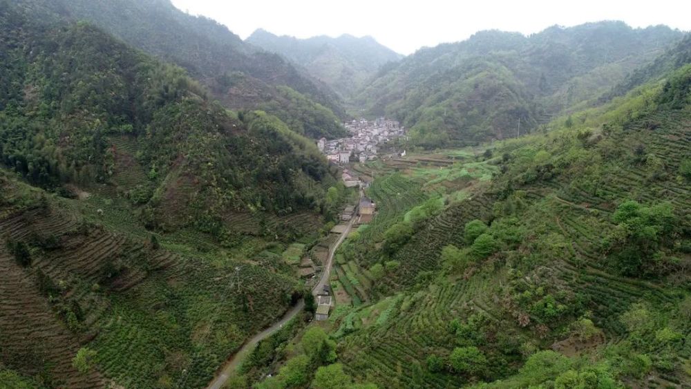 石门塘村(程家源,石门塘合并叫程家源村)位于浙皖交界白际山脉脚下,是