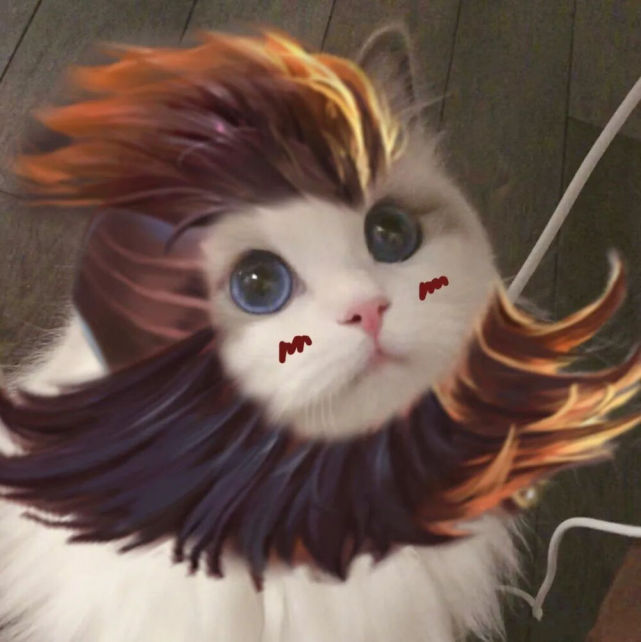 小猫咪能有什么坏心思王者猫咪头像边路篇