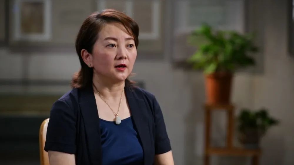 大量珍贵历史影像,文物,档案,将实景拍摄,动画设计,人物采访有机融合