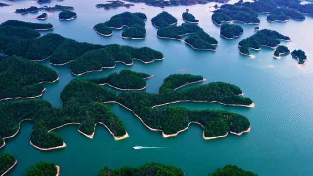 转载青山绿水丨杭州淳安千岛湖岛屿中的科研团队