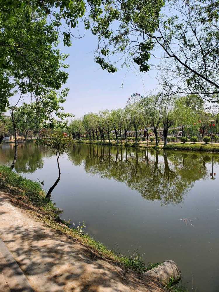 咸陽湖景區之渭濱公園美景