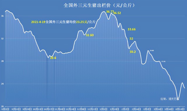 豬價跌到匪夷所思豬肉跌至1298元仔豬趁機漲價後期還跌