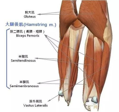 骑车请勿训练过度!如何避免后大腿肌的运动伤害