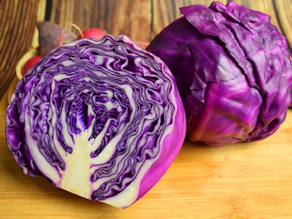 紫的菜叶很漂亮,还是大众公认的健康蔬菜,与普通的甘蓝菜"包菜"是近亲