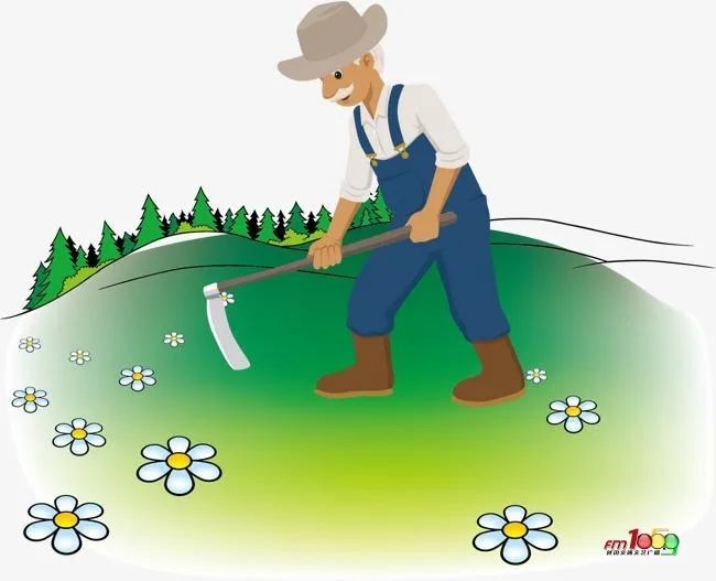 配方施肥技术,促进化肥减量增效,提高土壤肥力,助力农业丰产,农民增收