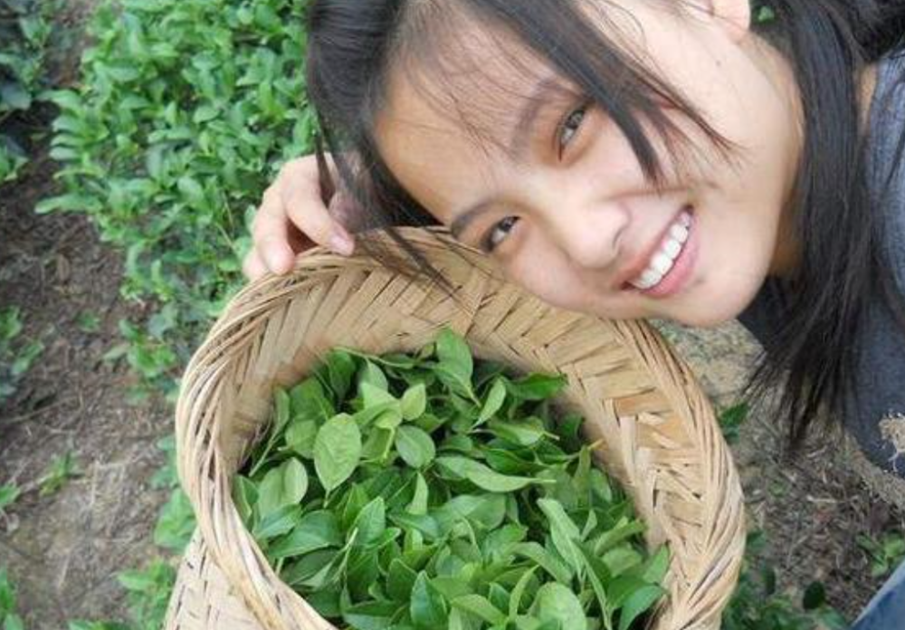 判刑8年!"卖茶姑娘"半年诈骗30万,头目:不赚钱还背上贷款