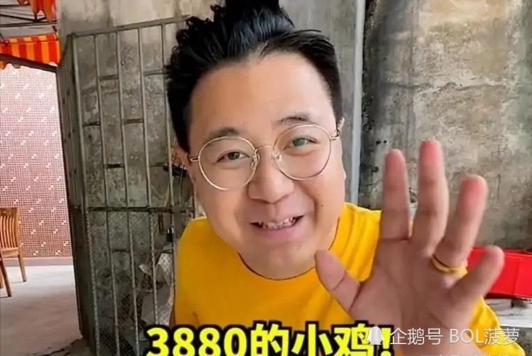 网红大logo首道歉,求生欲满满暗含小心机,更应该封杀的是他们