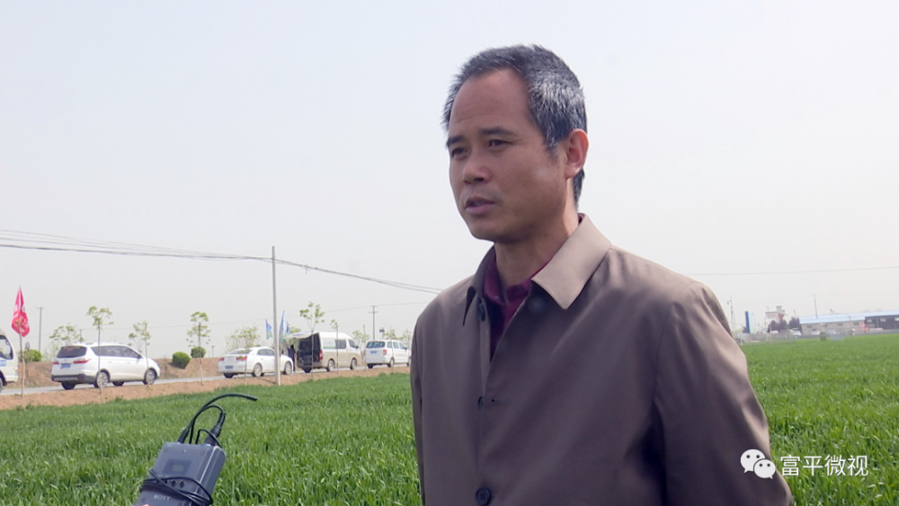 全县小麦条锈病防控暨"一喷三防"现场会召开
