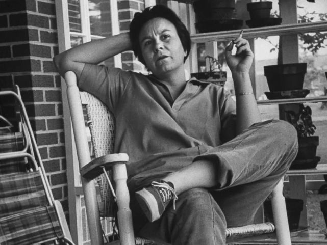 知更鸟|杀死一只知更鸟|哈珀·李|阿里克斯|阿蒂克斯