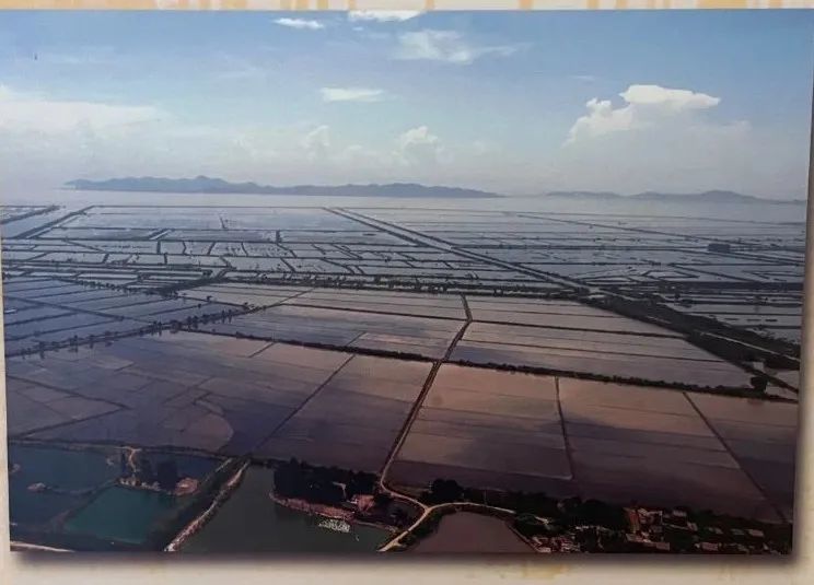 党史学习教育|海洲村拟建袁世根纪念公园