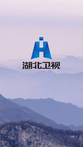 给湖北卫视重新设计一个logo