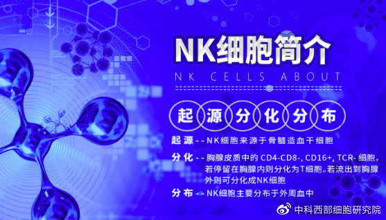 Nk细胞免疫疗法将成为未来肝癌治疗方法的 主力军 腾讯新闻