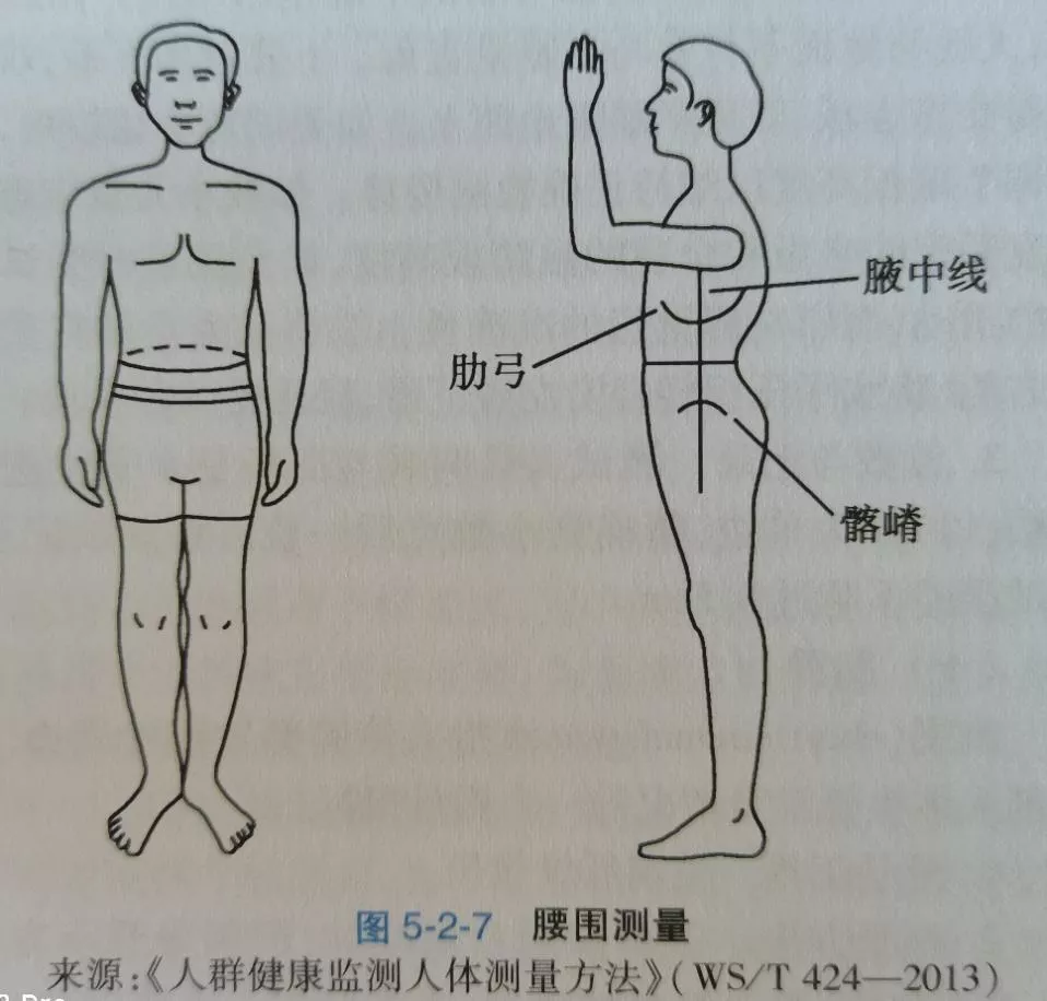 腰围的测量部位是双侧腋中线肋弓下缘和髂嵴[qià jí]连线中点的水平