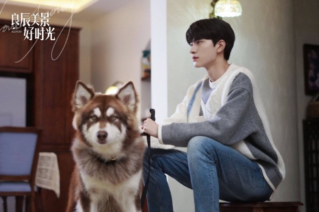 良辰美景好时光大结局顾飞鸣被齐琪拒绝放弃追爱