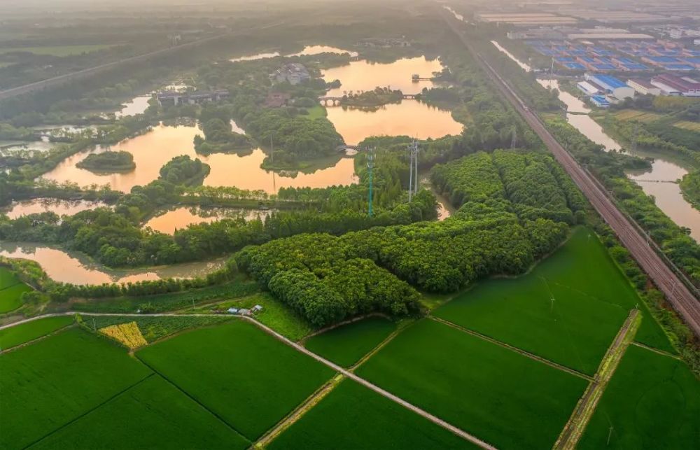 天福国家湿地公园为生态留白为百姓添福