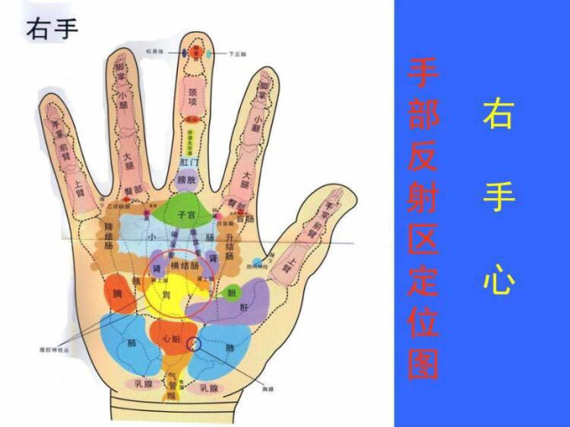 手上4個補肺穴每天按揉10分鐘遠離感冒發燒肺炎支氣管炎