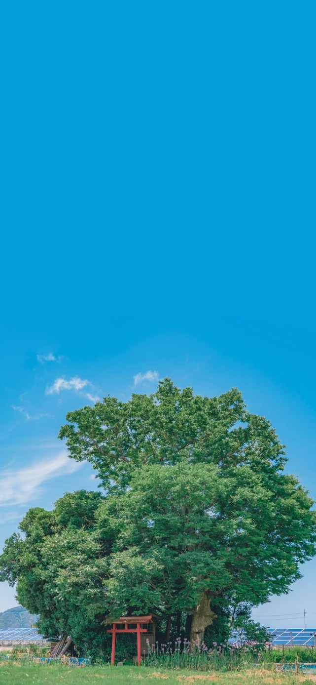 唯美治愈风景壁纸 宫崎骏的美好世界