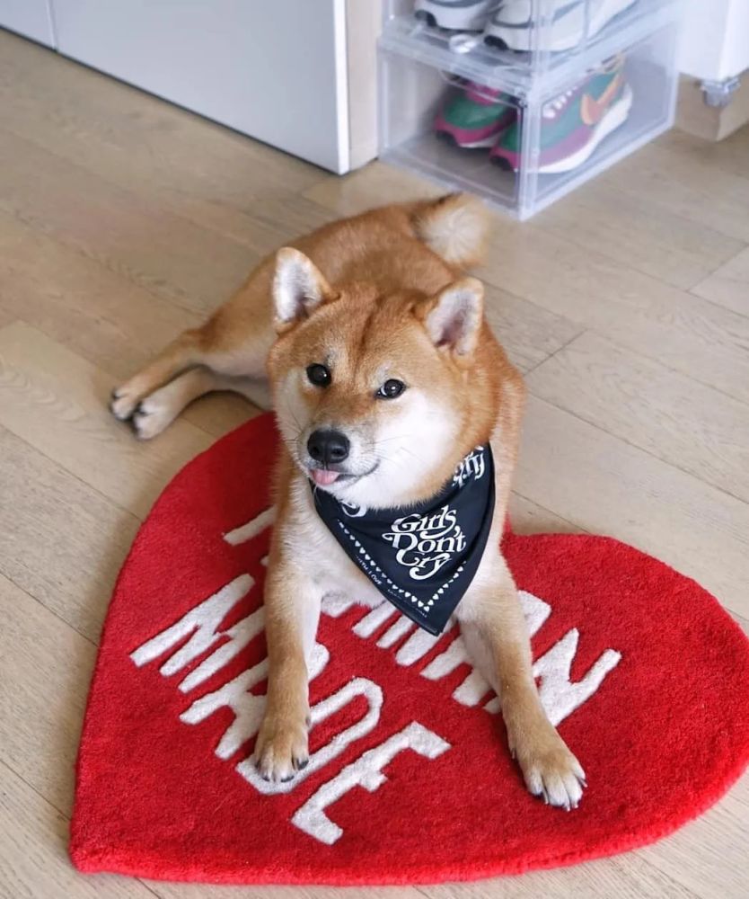 吉田的装备可以说是非常的完善 就连外出游泳时都要穿上特质的泳衣