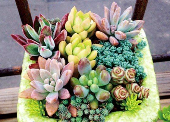 衛生間放這些好運常來 新聞百分百