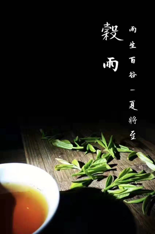谷雨 全民饮茶日