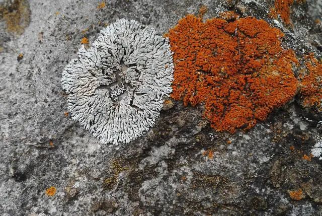 识天晓地风化作用