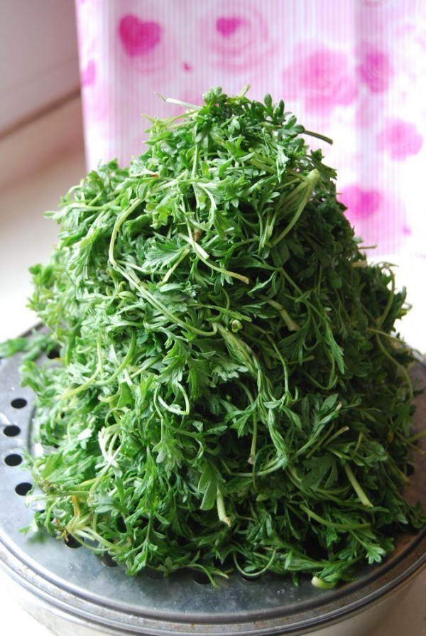 它才是路边"护肝菜",简单蒸一蒸,美味可口,养肝护肝,可别不懂吃