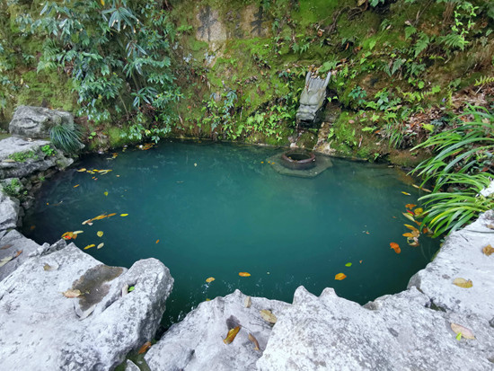千载茶韵 问道龙井