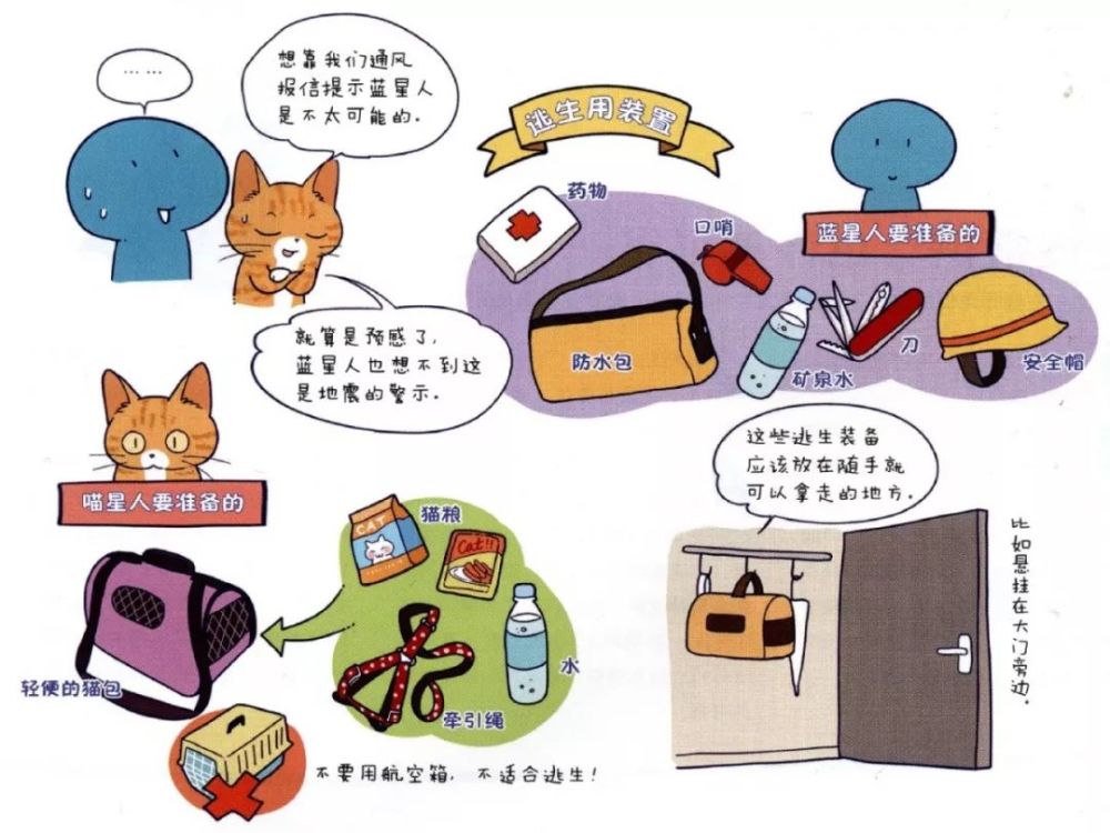 猫悟 地震来了 你会怎么做 这位台湾小朋友做出了自己的选择 腾讯新闻