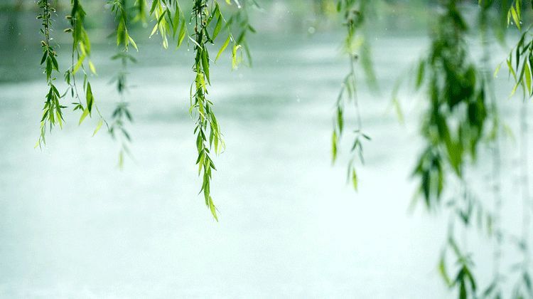 楊花飛舞,柳絮飄揚,牡丹吐蕊,此時節,圖源|故宮博物院將迎來穀雨節氣.